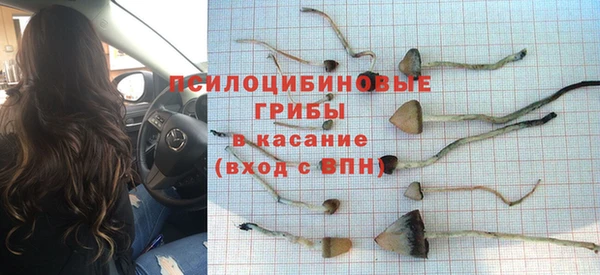 apvp Касимов