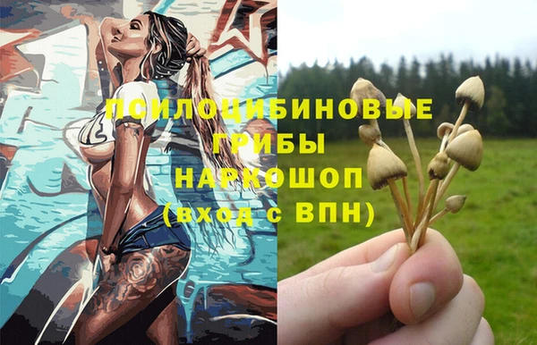 apvp Касимов