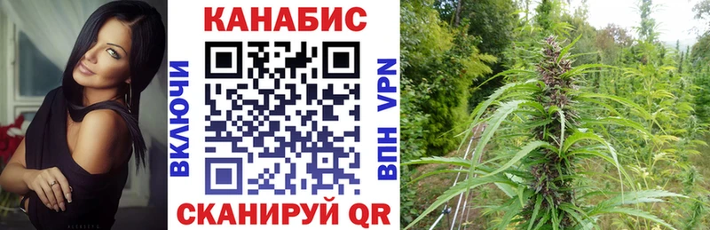 Конопля AK-47 Глазов